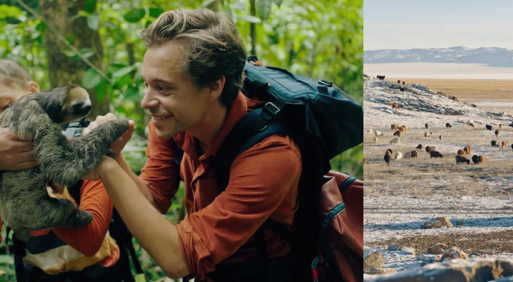 Reflexion über die Wichtigkeit, Tod mit Sensibilität zu Thematisieren, Checker Tobi