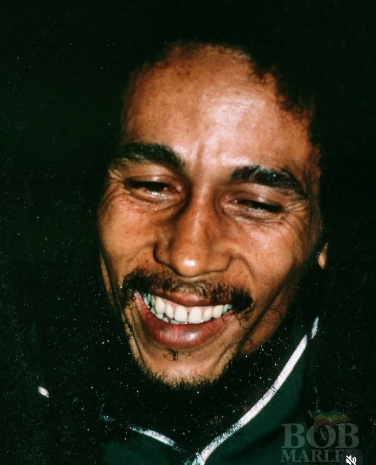 Bob Marley Vermögen: Leben, Erbe und finanzieller Erfolg Erfolge