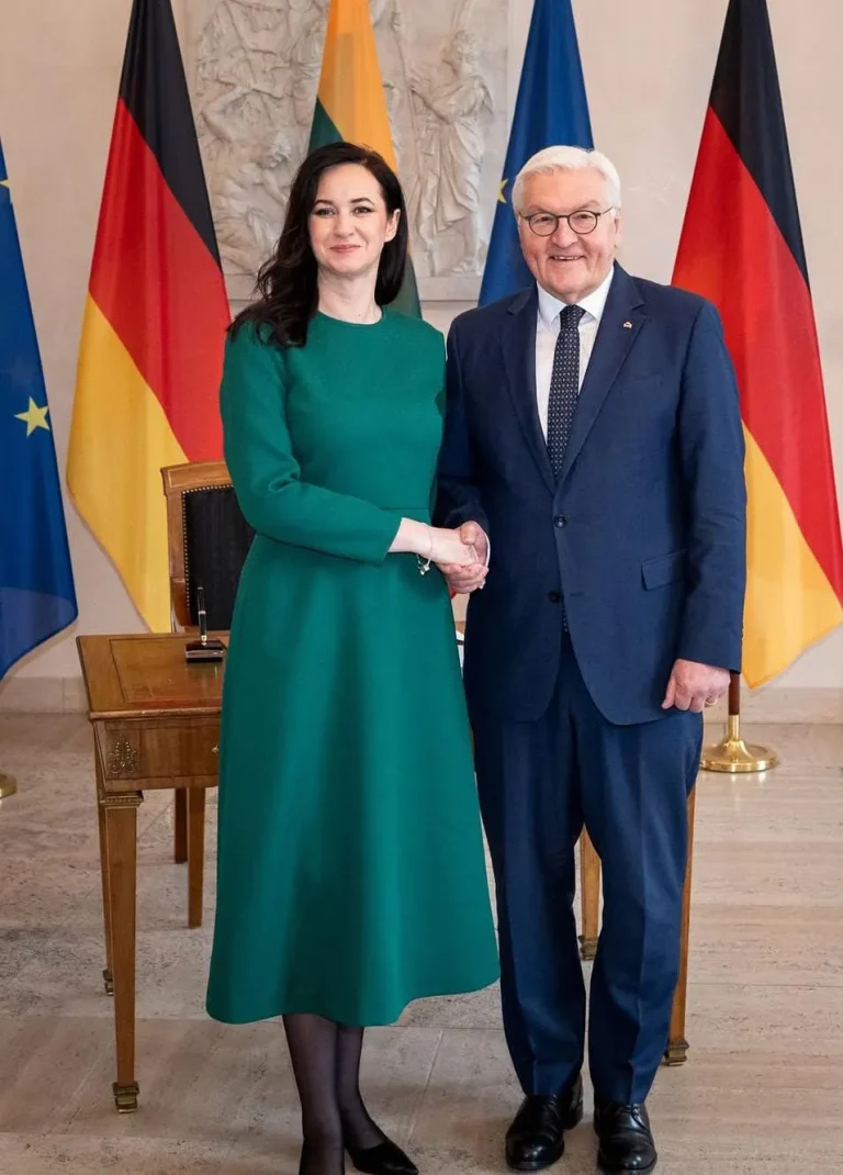 Frank-Walter Steinmeier Präsident und Politik in Deutschland